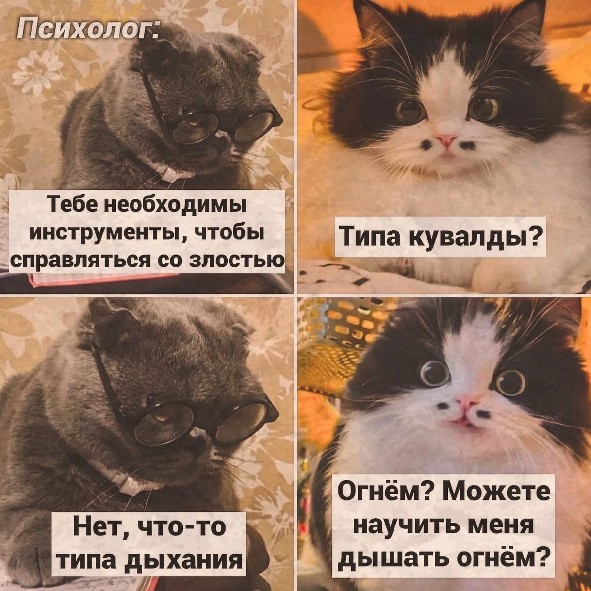 ANKatastrofa's tweet photo. @nebobrishka https://t.co/fqWrPveCJQ