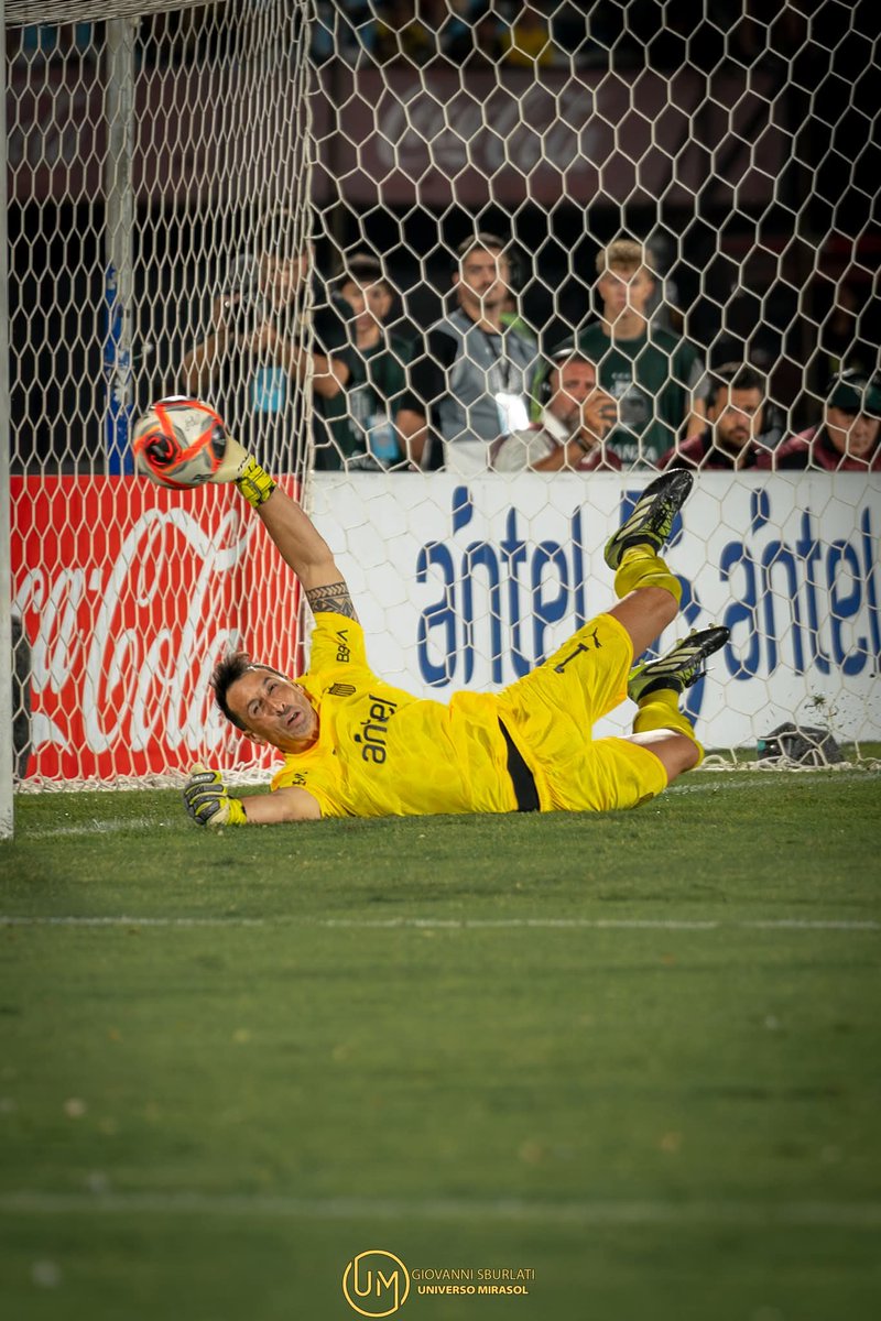 universomirasol's tweet photo. Mano ✋️  y Festejo 🤪

#SebastianBritos
@OficialCAP https://t.co/q8oFzJ3W3N