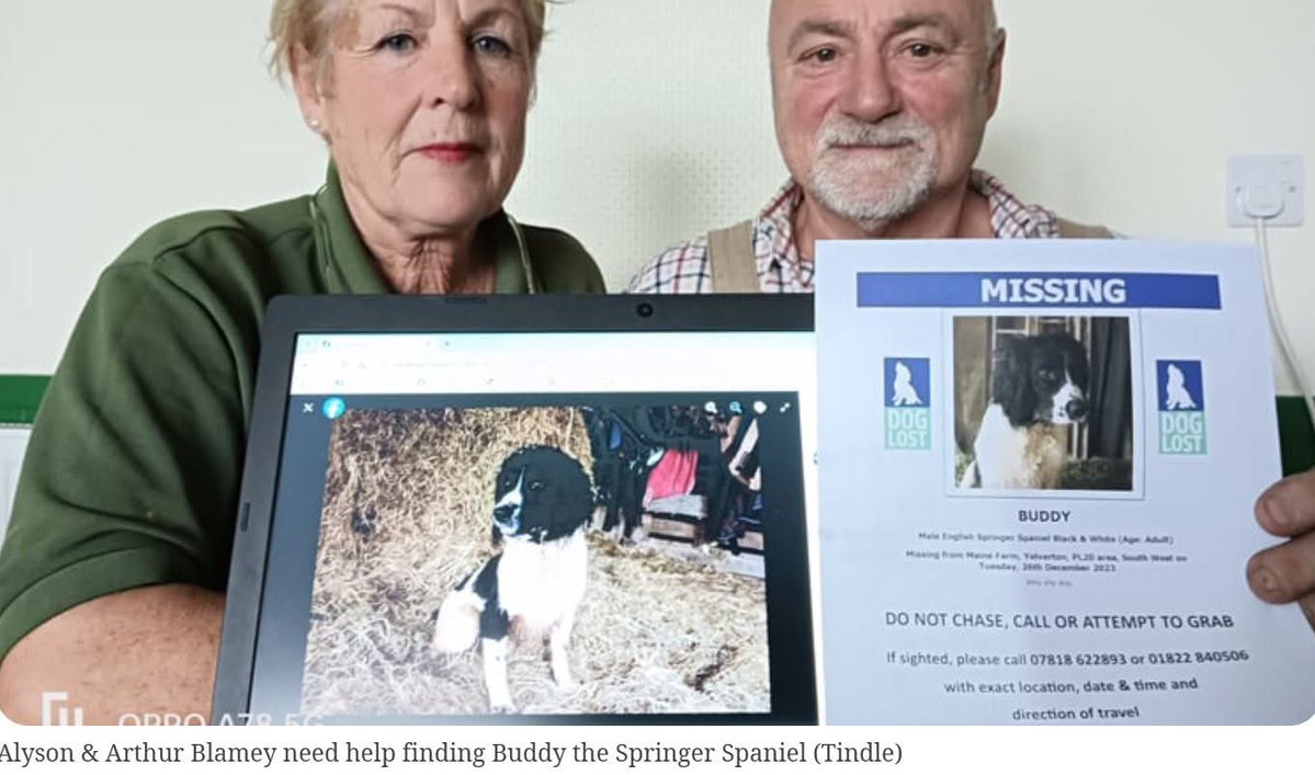 rosieDoc2's tweet image. #SpanielHour 
#StolenDogHour 
BUDDY
#STOLEN EVENING DEC 25th/26th  23
doglost.co.uk/dog/189420
two-year-old Blk&amp;amp;wh #springer was last seen asleep at his home on a #farm #Collytown, near #BereAlston, #Devon 
"I keep thinking I see him out the corner of my eye,but he’s not there."