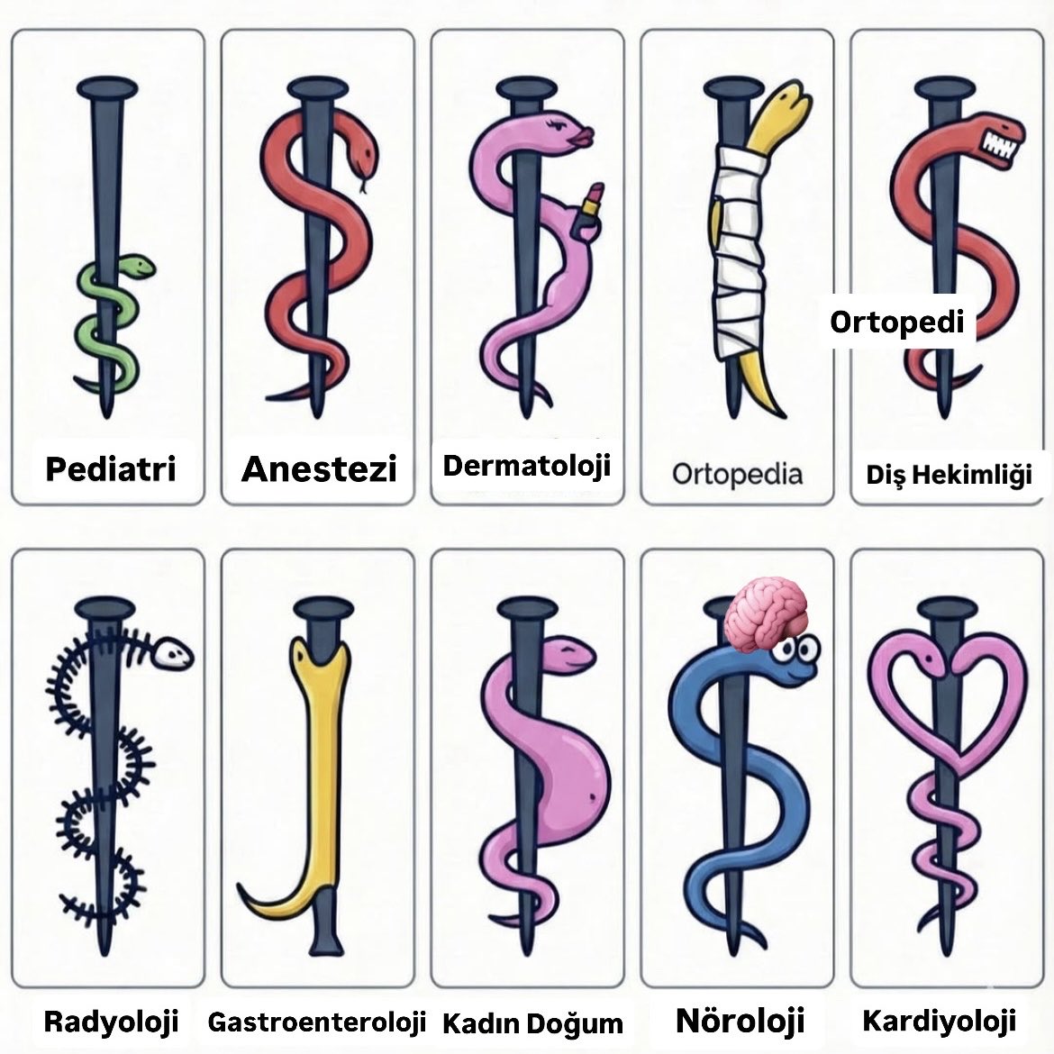 Bölümlere göre Tıp simgesi ;