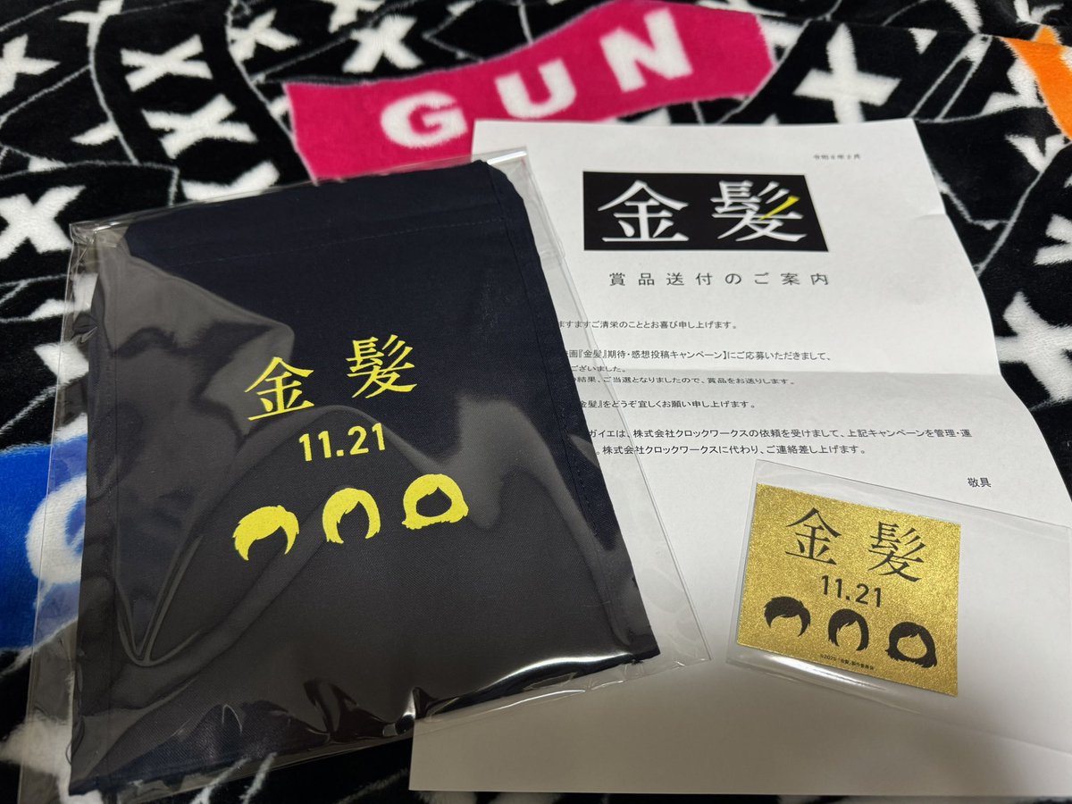 hito🐢 (@honu6245_gun) / Posts / X