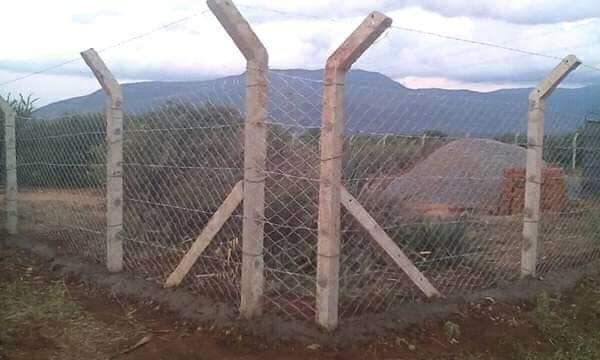 ChepeoConstruct's tweet photo. High Quality barbed wire, chain lonk  and Concrete posts to fence your kaplot maguta maguta.   Highy Discounted prices  https://t.co/9YdzSQDmA1 . Call/Wahtsapp +254 735 975508

#UDAAspirantsForum
Chelsea
#BBMzansi
Nigerians
Grammy
Raila
Arsenal
Africa
Epstein
Ruto
President
Elon https://t.co/cLvLsgOiAe