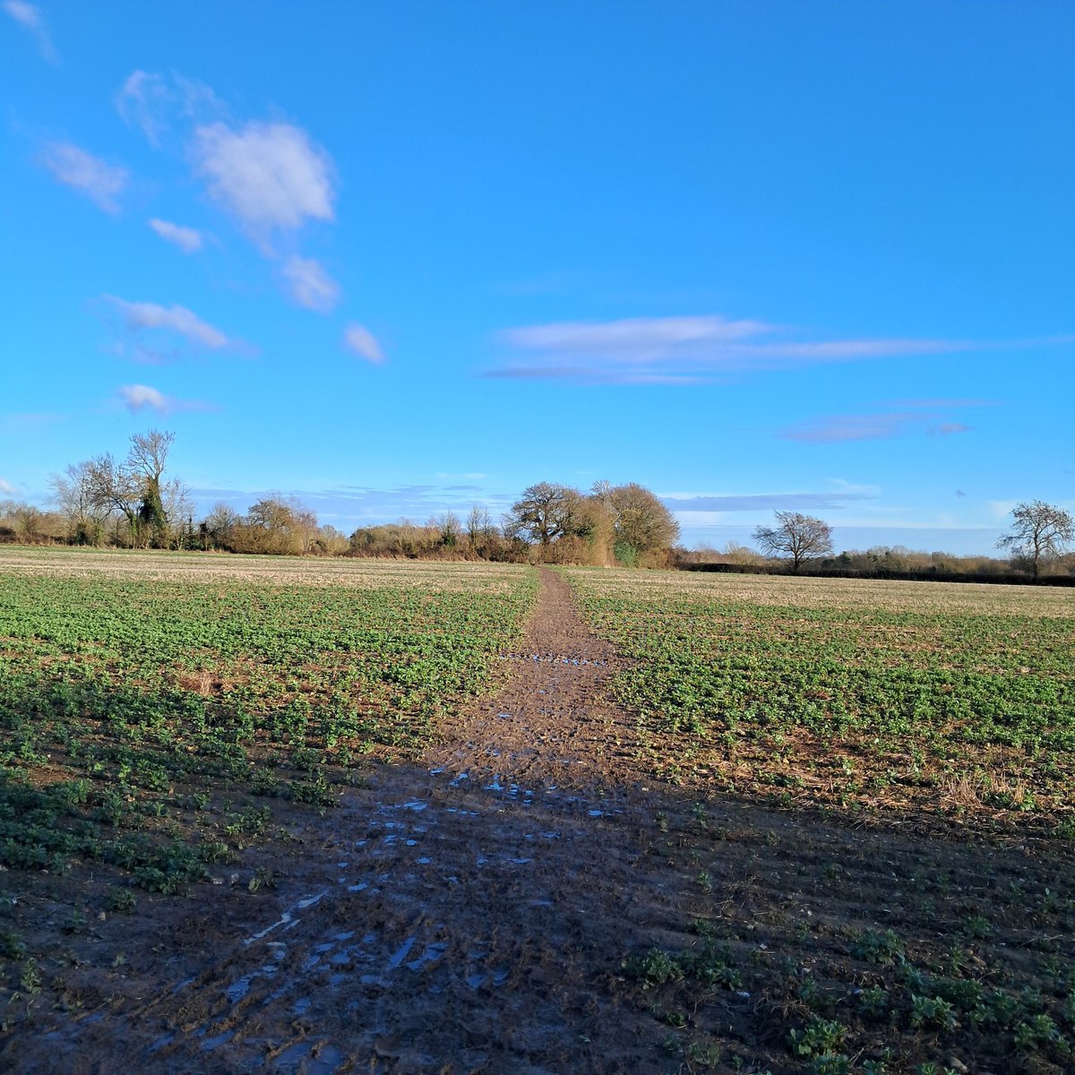 MPattenM's tweet image. VVV