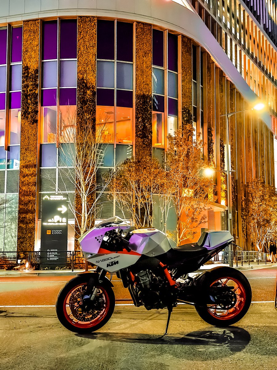 TOKYO CYBER PUNK #NA890Kranich