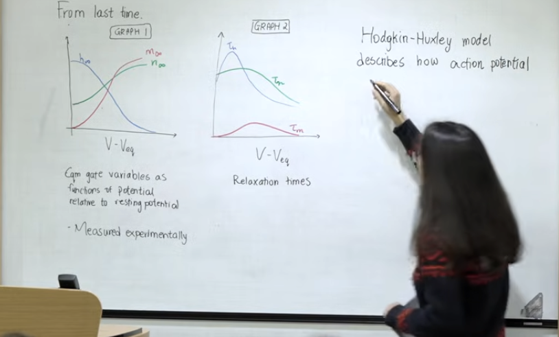 OxUniMaths's tweet photo. For those of you still hanging in there, we're up to lecture five in Christiana Mavroyiakoumou's fab (even if we say so ourselves) Mathematical Physiology fourth year undergraduate course.

Here's the full five: https://t.co/EfOAn5FZXe https://t.co/SZxntjLOUa