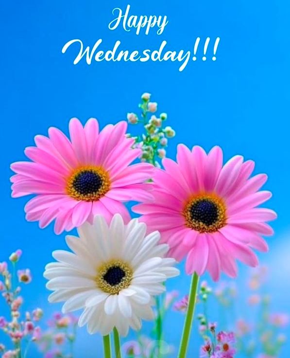 Kodes200 tweet media