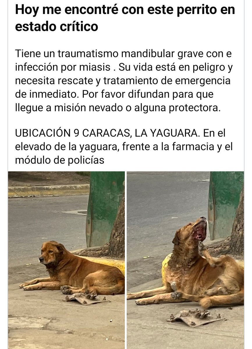 🆘️🆘️🆘️Reportan a este pequeño que necesita AYUDAAAAA URGENTE por favor, Caracas La Yaguara