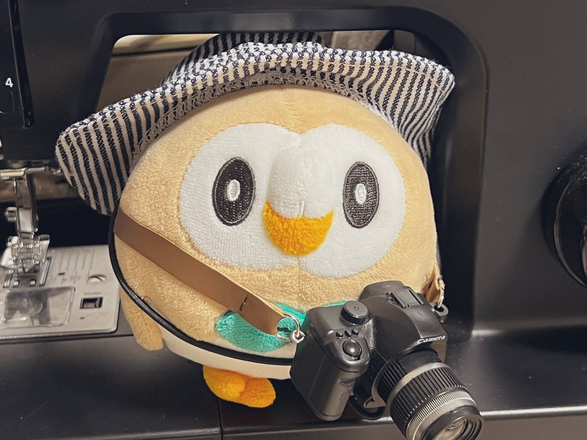 モクちゃん、探検隊ごっこは明日にしてもう寝ようね💭💤