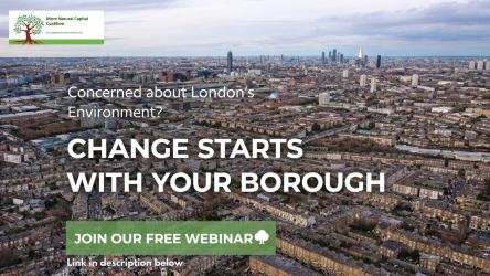 Bridget Fox tweet media