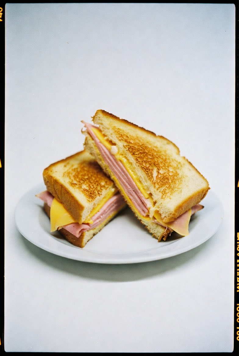 The Beaver Program tweet media