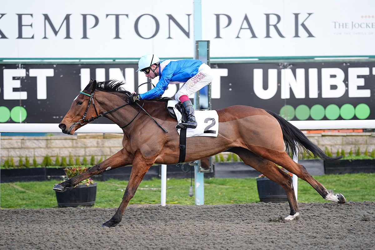 Ollie Sangster tweet media