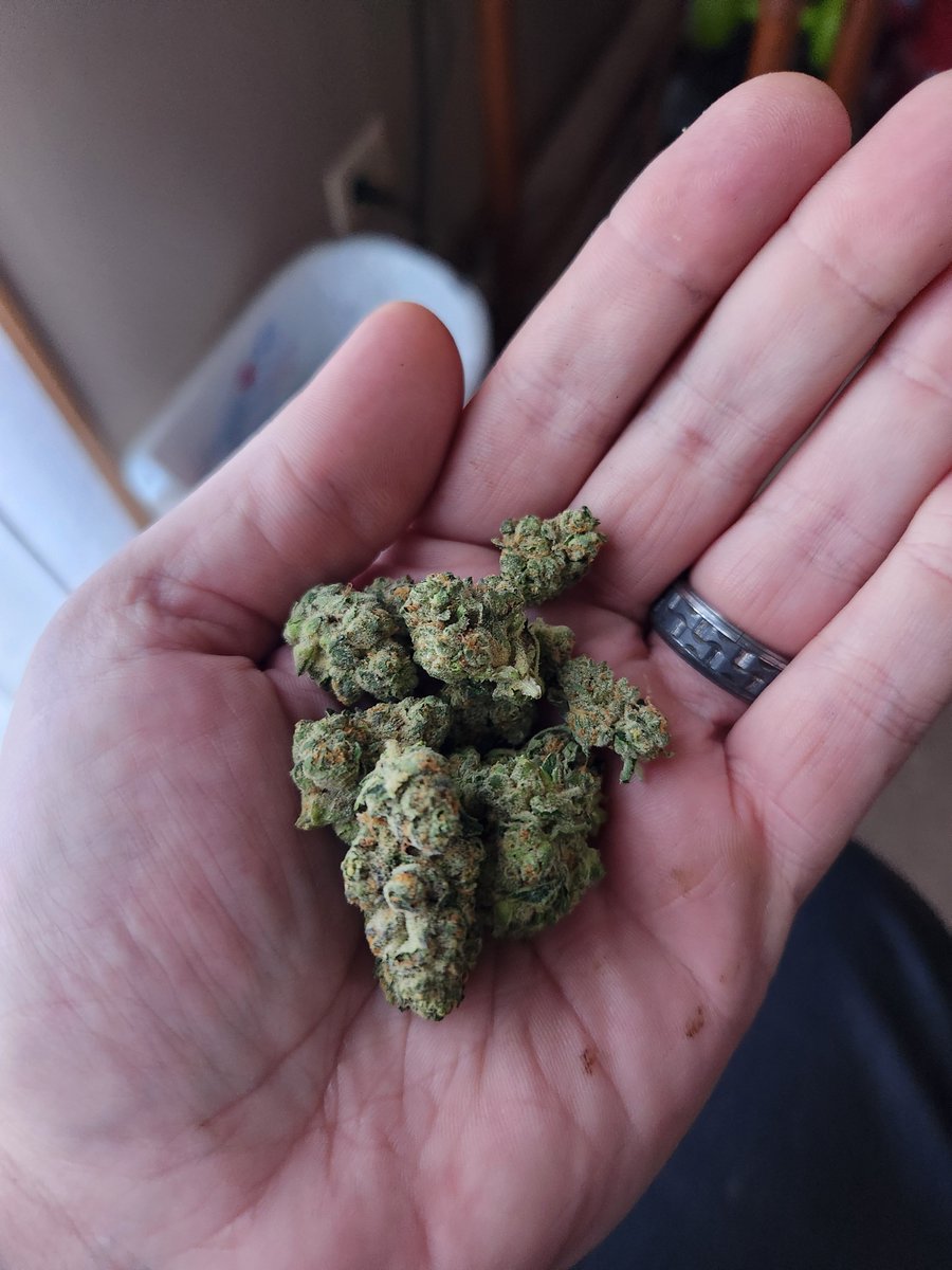 Please don't talk to me unless you smoke 40% or higher bud. Facetz #8 41.77% THC. Believe it.