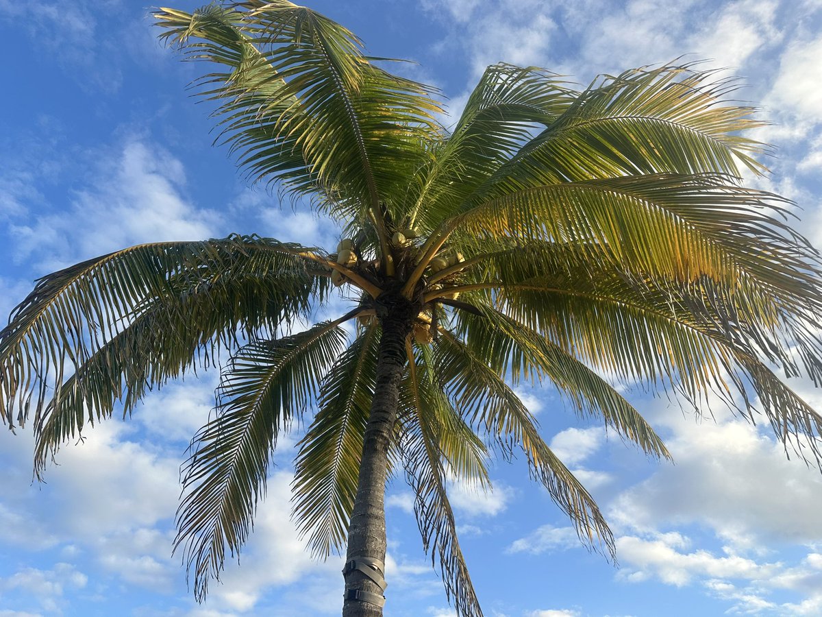 Eva Daniela tweet media