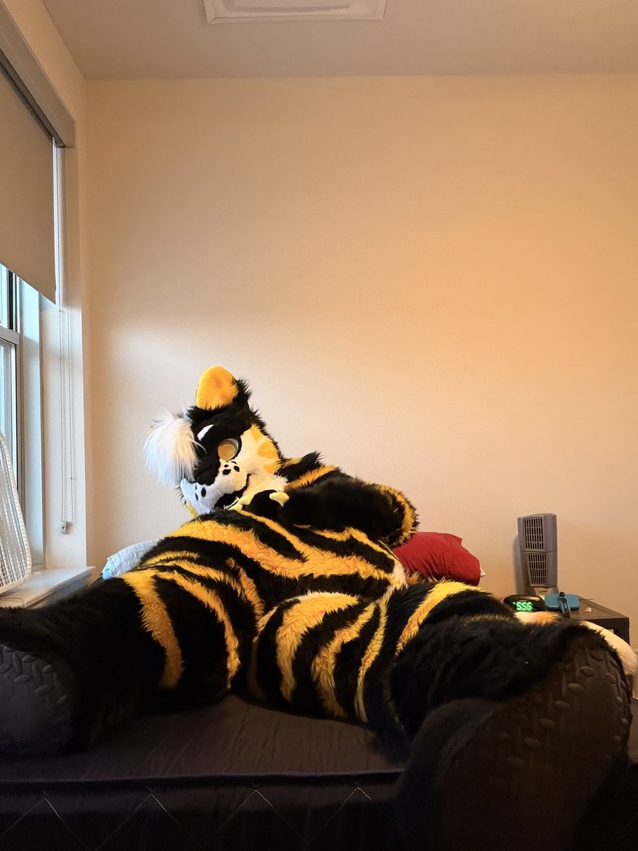 Purrfessor Zuka the Firefox. Jake P Loss🥊 (@Zukathefox) / Posts