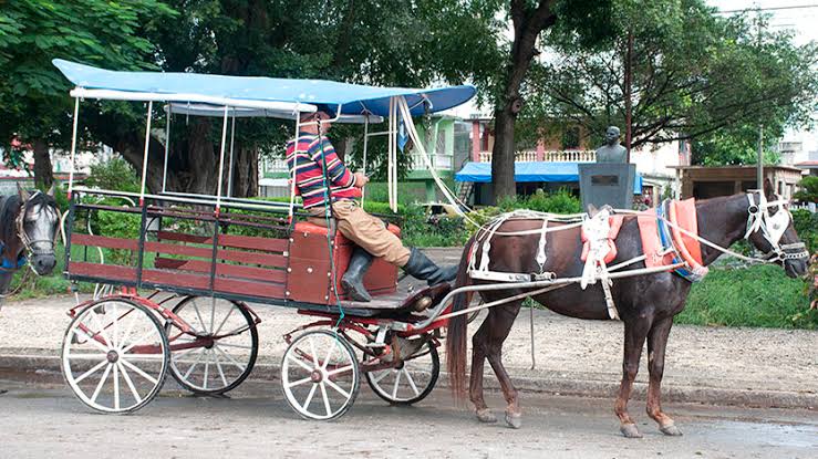 CemiHolding's tweet image. El "cruel bloqueo" no permite que el petróleo llegue a Cuba y eso va a afectar el transporte.
Ay, ay, ay, qué pena...
Nací y crecí en Placetas, un pueblo de unos 65.000 habitantes en el centro de Cuba.
La última vez que vi transporte público fue en 1989 o 1990. Una guagua Girón…