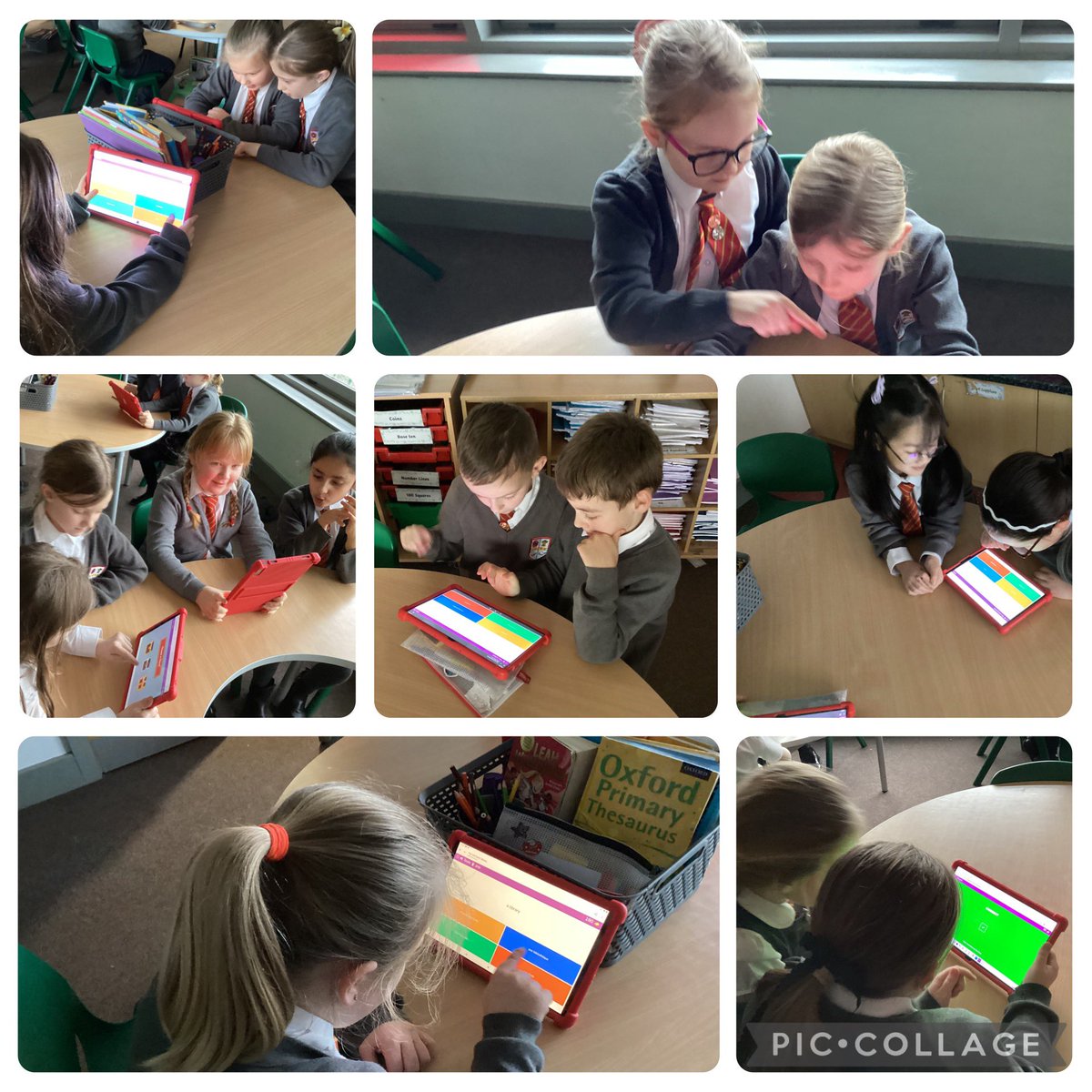 Elm Tree tweet media