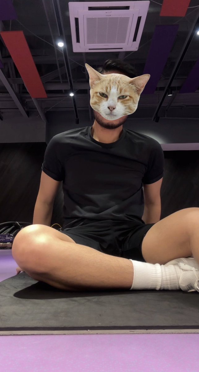 StrangeMeow_'s tweet photo. 😾 https://t.co/UakptAfPzd