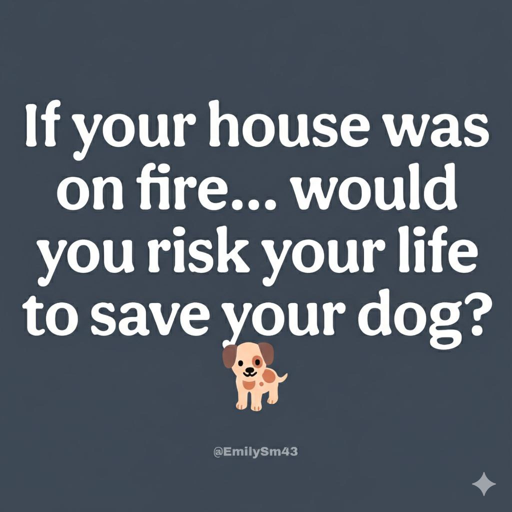 Emily 🦋 tweet media