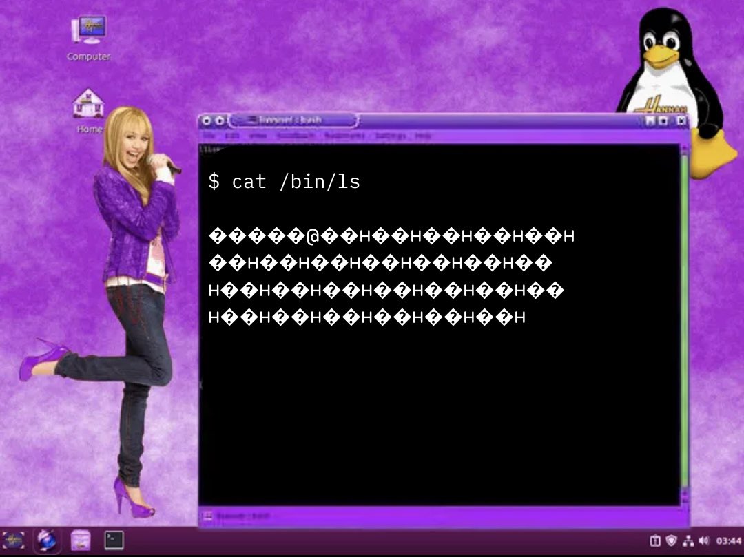 Maddy 🐝 tweet media