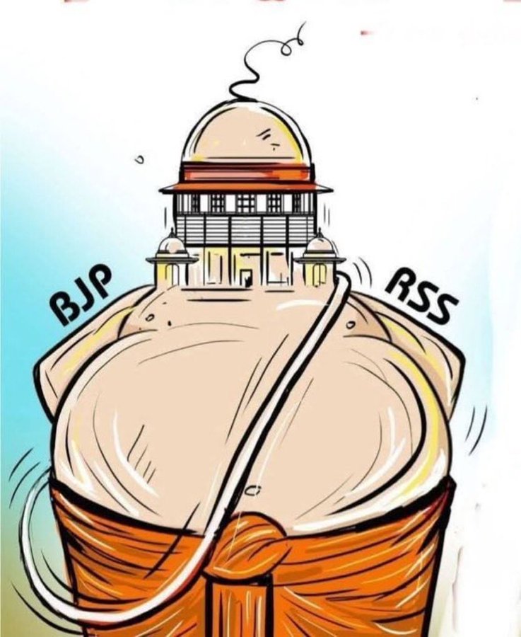 Let me explain the cartoon

Powerful Brahmins using the muscle power of BJP &amp; RSS to remain in total control of the Supreme Court, and by extension, of the whole country.