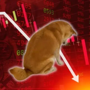 Everyday i wake up and i'm loosing all my money on solana.

I invested on gold and it's nuked.

i've had $inuf of this bullshit