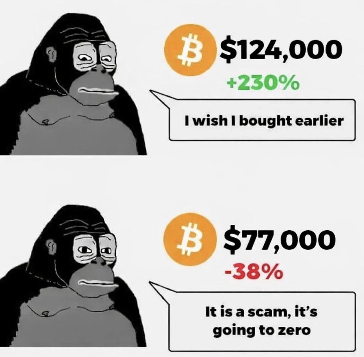 CoinFlowEN's tweet photo. do NOT monkey around with me https://t.co/caKSdysZCH