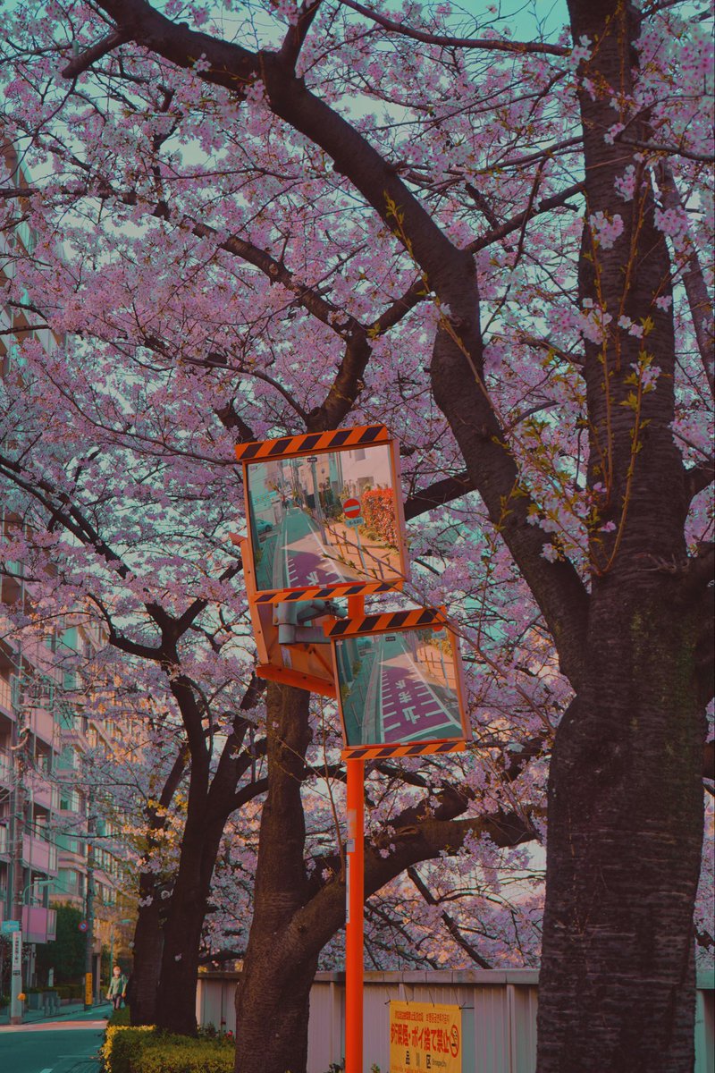 Owakita_'s tweet photo. Tokyo 🌙 https://t.co/qvunVYd31C