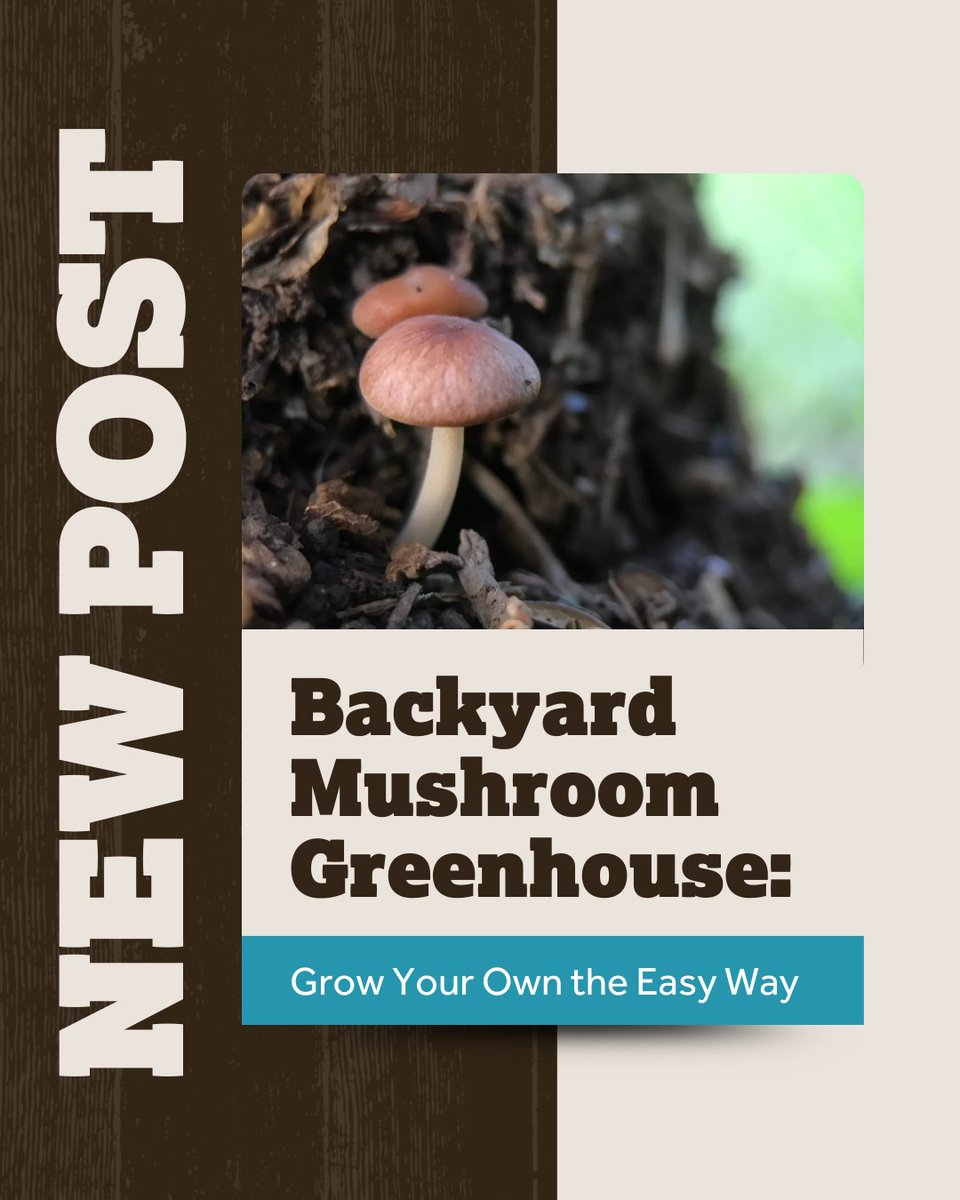 Most mushroom-growing problems come down to one thing: the wrong environment.

Our latest blog shows how a greenhouse makes mushroom growing easy, consistent, and beginner-friendly. 👇

na2.hubs.ly/H02KP630