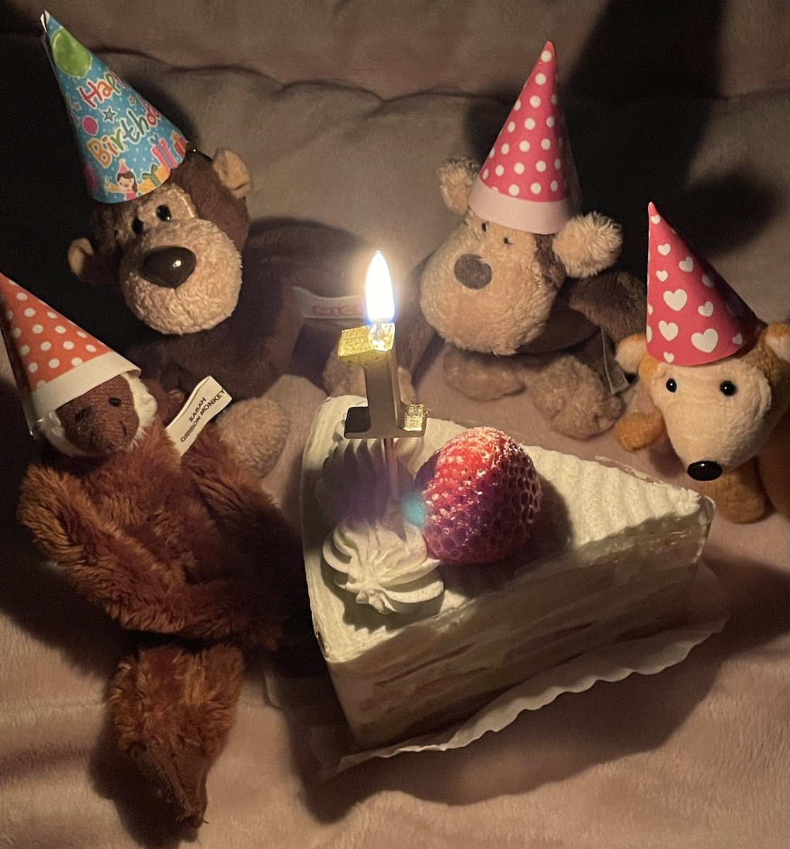 원숭이 아카이브 tweet media