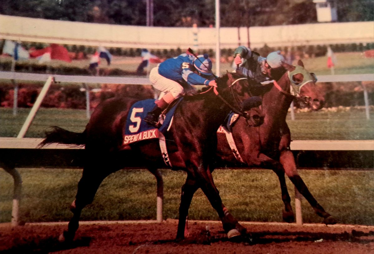 HORSERACING1002's tweet photo. SPEND A BUCK🇺🇸1982
(BUCKAROO - BELLE DE JOUR BY SPEAK JOHN)
#SpendaBuck
B/Irish Hill Farm & Rowe Harper (Ky) May 15, 1982
O/ Dennis Diaz 
T/ Cam Gambolati.
PRISAL $12,500
15-10-3-2---$4,220,689
1985 Champion 🏆 3yo Colt and Horse of the year. 
Arlington Washington Futurity G1,  Miller High Life Cradle S, Kentucky Derby G1,  Monmouth H G1,  Jersey Derby G3,  Garden State S, Cherry Hill Mile H, 
2nd Young America S G1,  Criterium S, Haskell Invitational H G1, 
3rd Breeder's Cup Juvenile G1, Bay Shore S G2.
NTR Monmouth 9f 1,46,⅘.
NTR Garden State 9f 1,45,⅘.
NTR  Garden State 8f
1,35,⅖.
Stood at Lane's End,  McDermott Ranch , Red River Farm🇺🇸, Haras Bage do Sul in Brazil 🇧🇷,  
Sired 739 foals , 452 winners, 37 sw. Hard Buck, Irish Lover, Einstein, Pico Central, Antespend, Black Coffey, Clausen Export, Forever Buck, Hatif, Investors Dream, Jockeys Dream, Just Lucky, L'Amico Steve, 
Died Nov 24, 2002