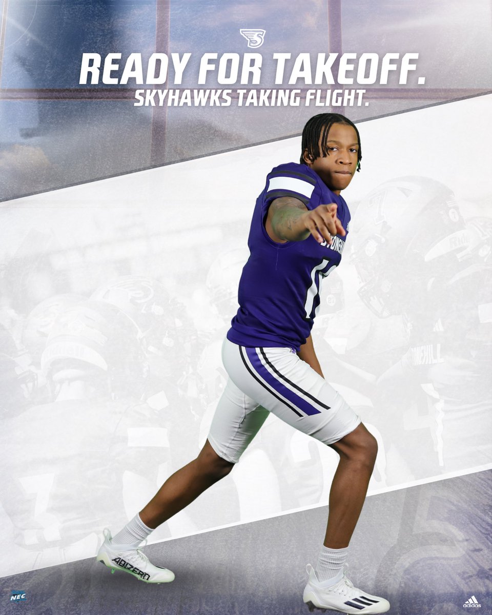 Stonehill Football #DIG tweet media