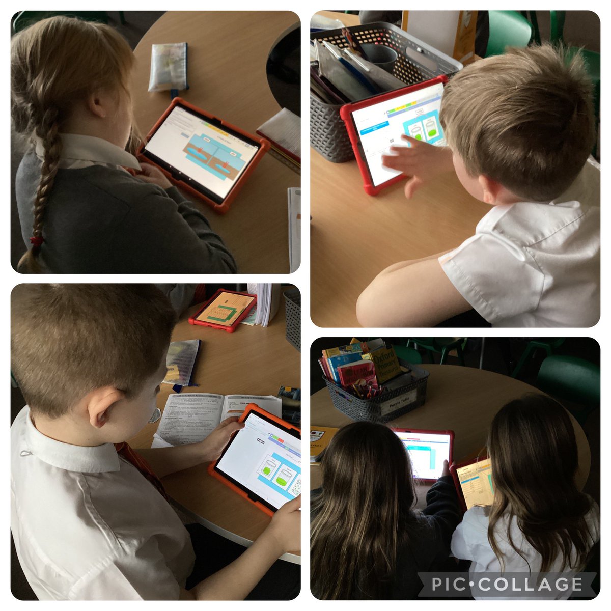 Elm Tree tweet media