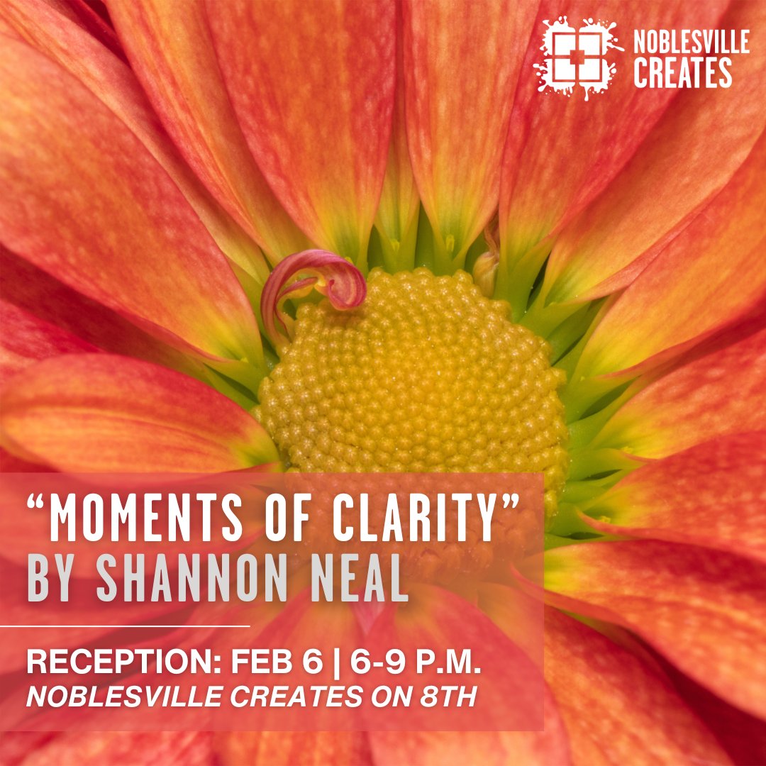 Noblesville Creates tweet media