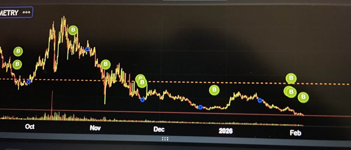 Black Cat 🐈‍⬛ tweet media