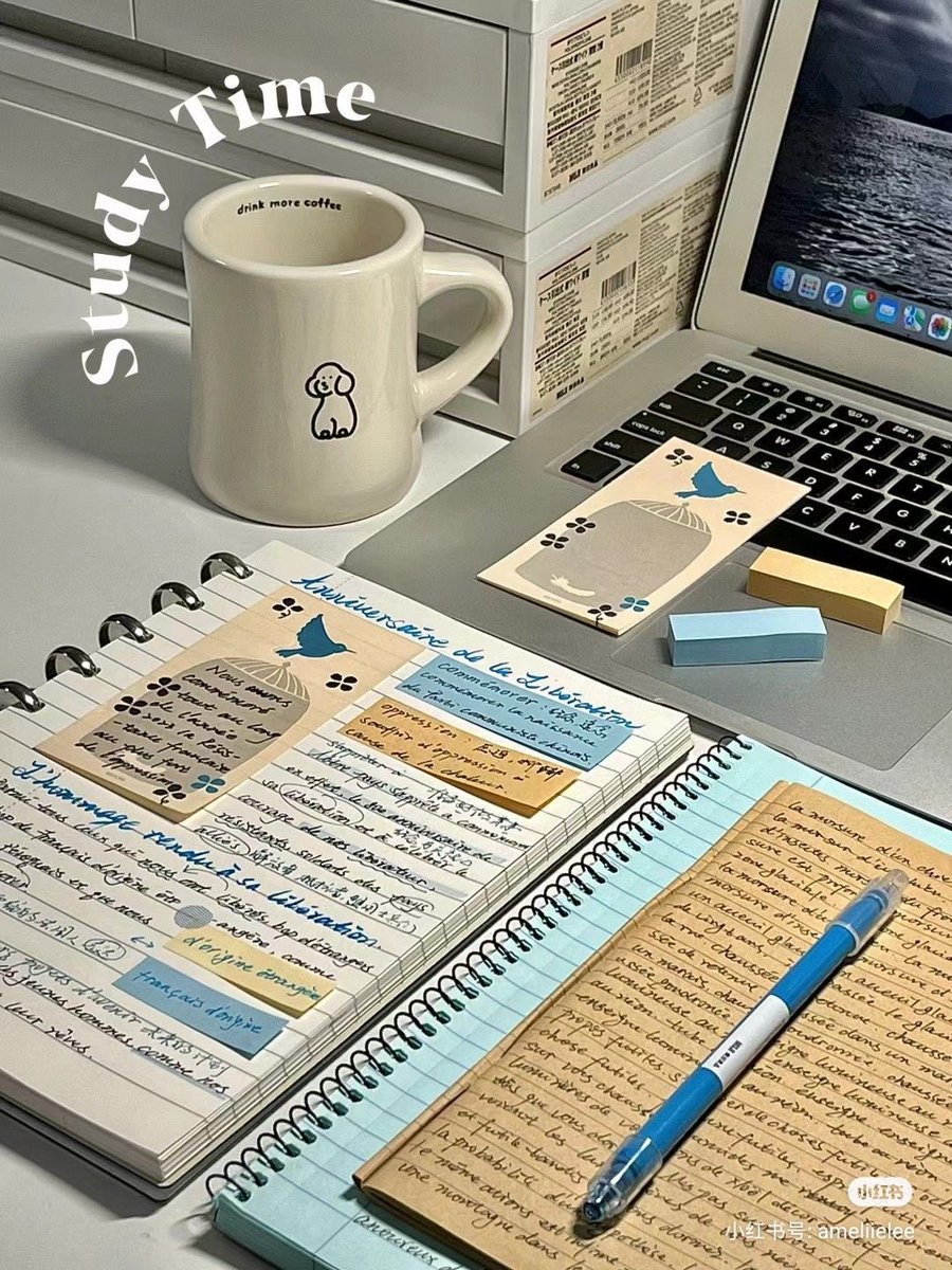 ceelune_'s tweet photo. study sessions https://t.co/0sRBUrA55i