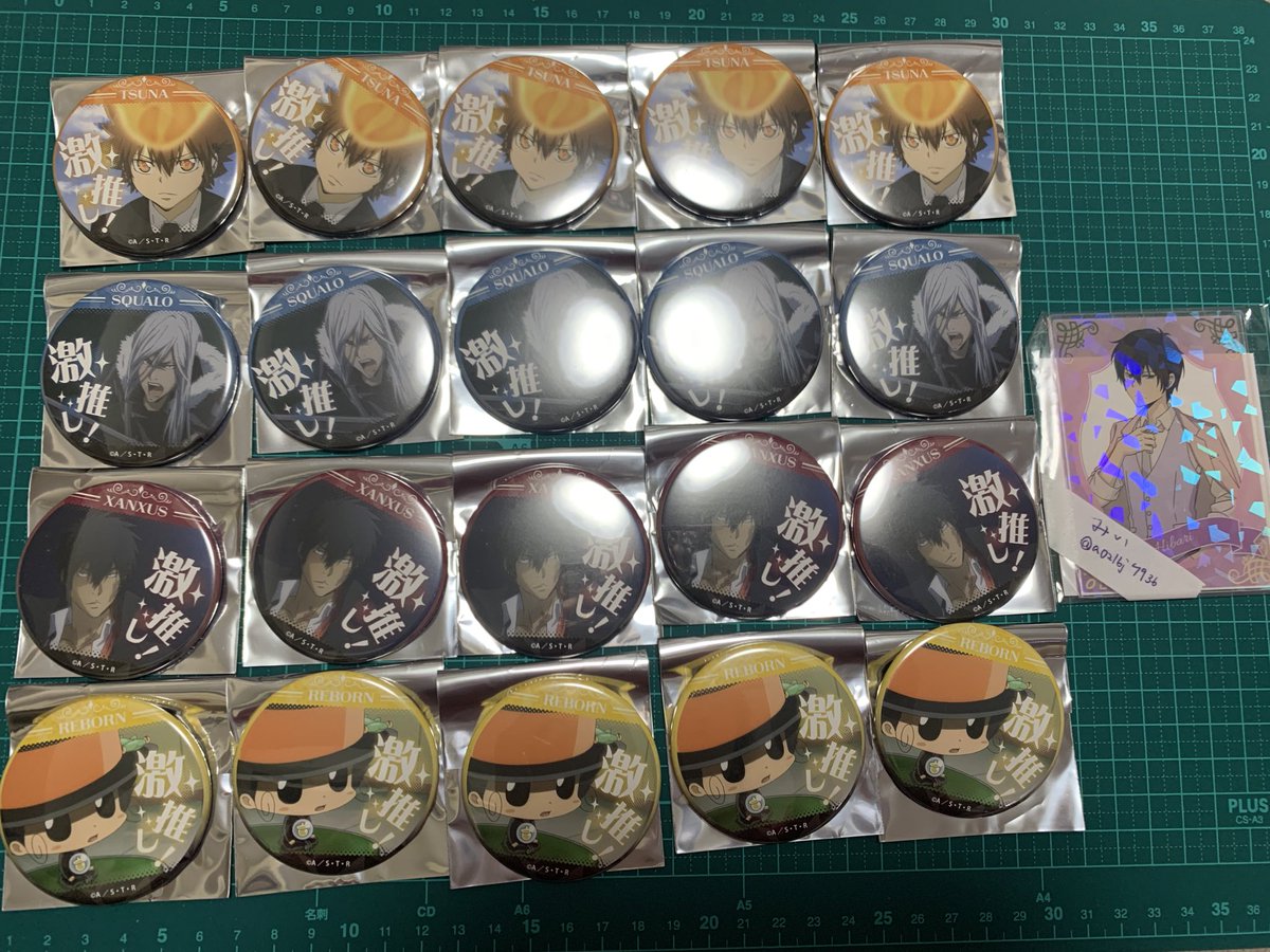 交換/譲渡】家庭教師ヒットマンREBORN 激推し缶バッジ vol.5 リボーン