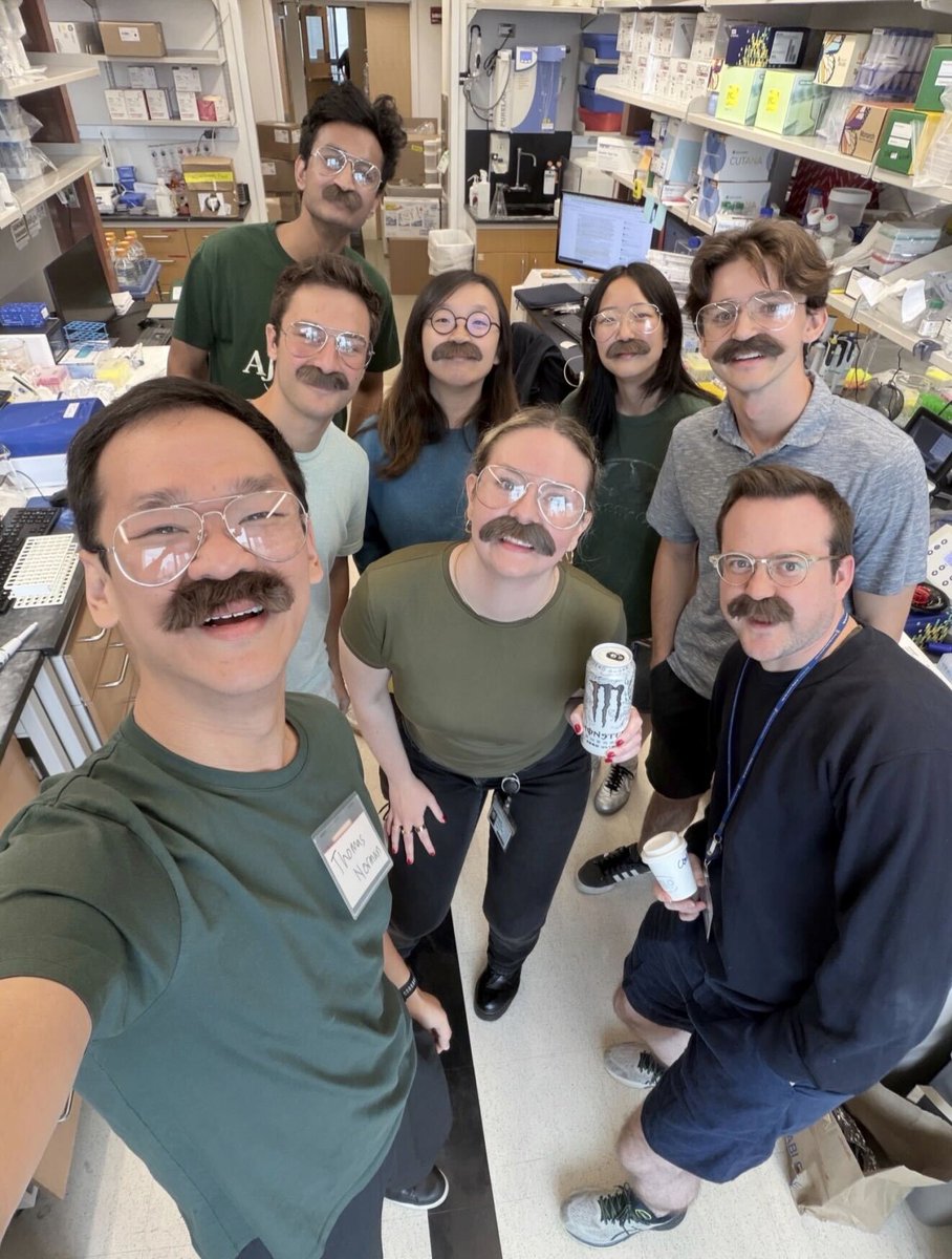 Thomas Norman tweet media