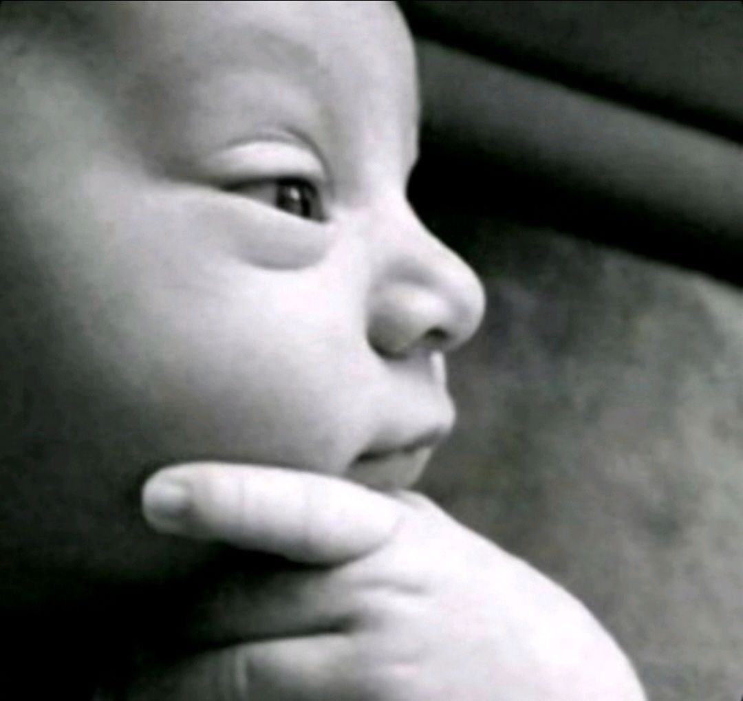 milenawhuj tweet media