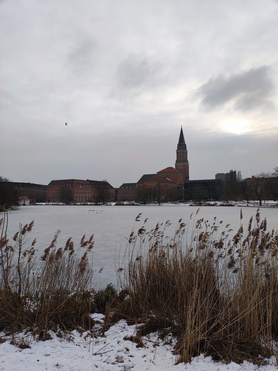 Felix Arnold tweet media