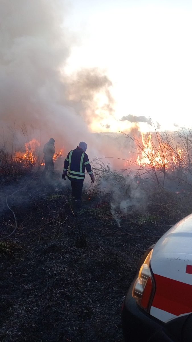 BCBRP's tweet photo. ✨👨🚒 Héroes bajo las estrellas
Unidades voluntarias de la Brigada Forestal y EXBURE trabajaron durante la noche para sofocar el IMAVE en El Valle de las Lomas, demostrando valor y compromiso con nuestro entorno.
🫡🔥Disciplina, Honor y Abnegación
#BCBRP #EXBURE #BrigadaForestal https://t.co/GKNRSraryE