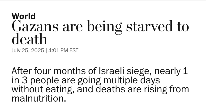 AdHaque110's tweet photo. Miriam and her team published important reports on the IDF's killing of aid-seekers, and the mass starvation resulting from Israel's blockade.

Just awful. https://t.co/p483Kn0hTV