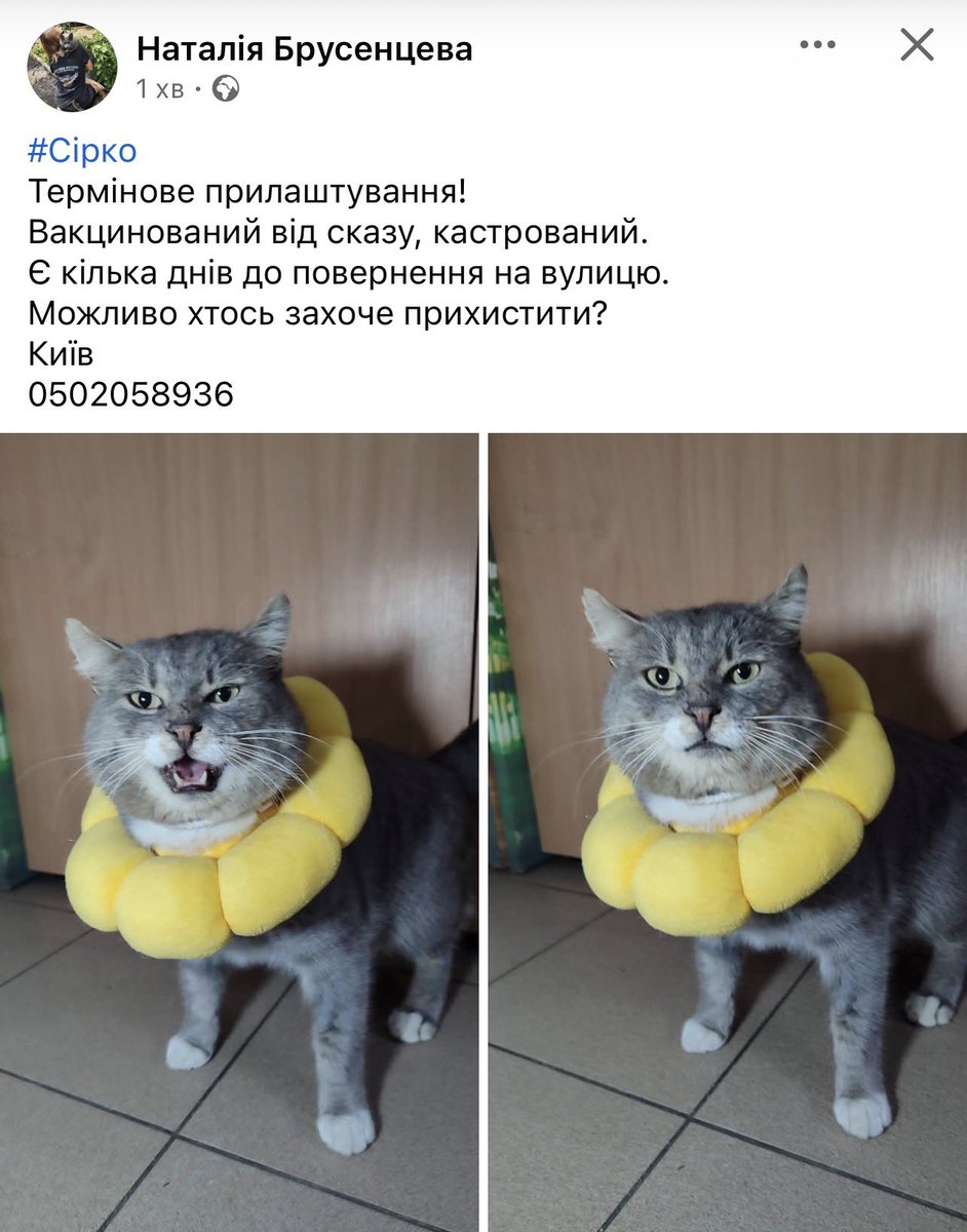 Терміново! Є лише пару днів. Без жартів нажаль