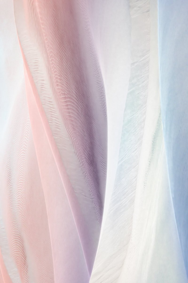 jerad armijo tweet media