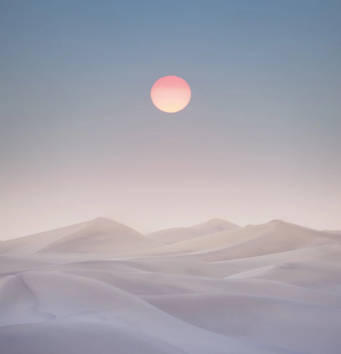 jerad armijo tweet media