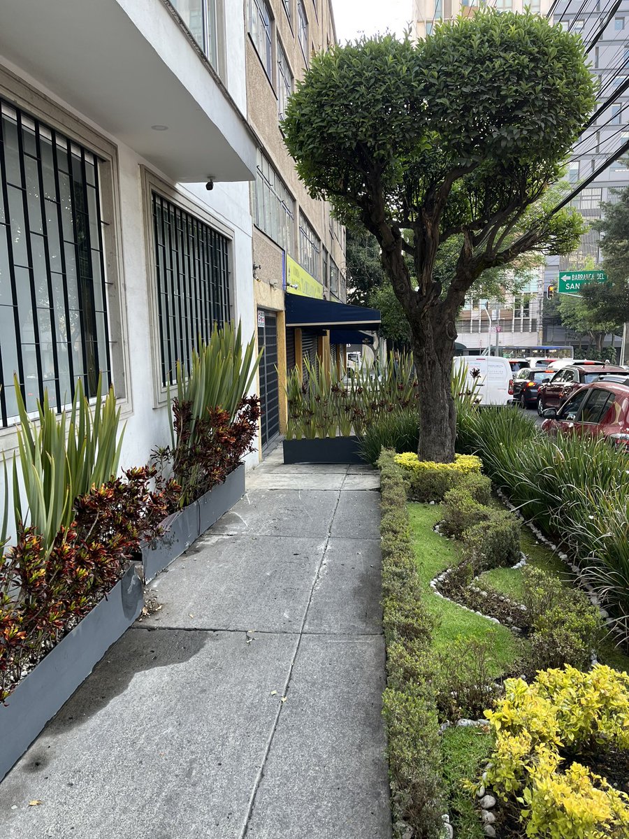 ferpoo's tweet photo. Alcalde @LopezCasarinJ los vecinos de @AlcaldiaAO pedimos su apoyo por favor para liberar la banqueta de la calle Corregidora esquina con Avenida Revolución, en la Colonia Campestre, a un lado del restaurante Doña Lulá, no hay paso @UCS_GCDMX https://t.co/G8qKwT1Nbo