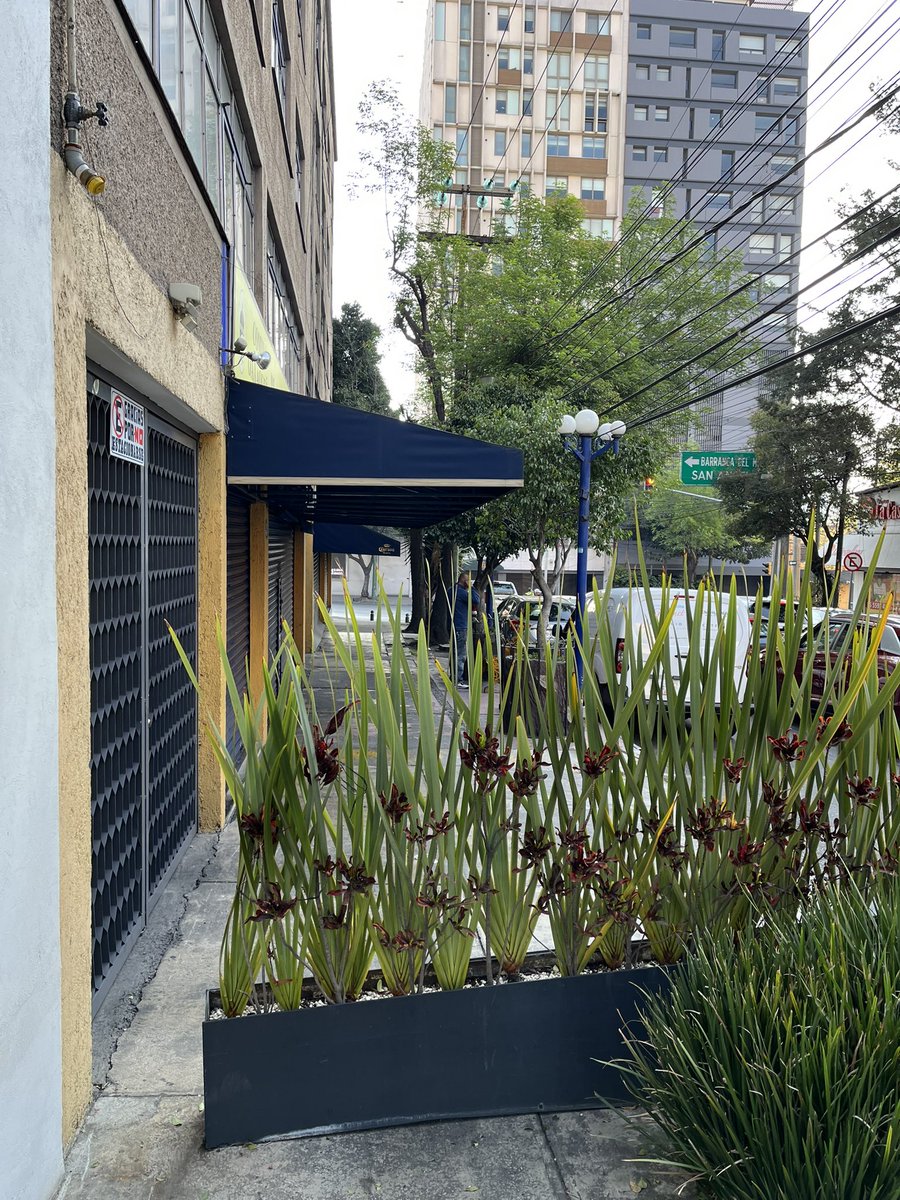 Alcalde <a href="/LopezCasarinJ/">Javier López Casarín 💥🚀</a> los vecinos de <a href="/AlcaldiaAO/">Alcaldía Álvaro Obregón</a> pedimos su apoyo por favor para liberar la banqueta de la calle Corregidora esquina con Avenida Revolución, en la Colonia Campestre, a un lado del restaurante Doña Lulá, no hay paso <a href="/UCS_GCDMX/">Unidad de Contacto del Secretario SSC CDMX</a>