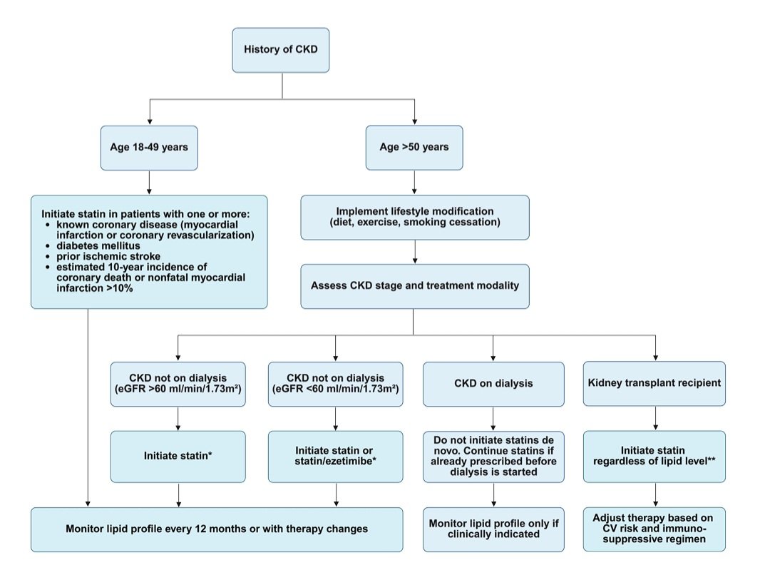 NephroNook's tweet photo. Dyslipidemia in Chronic Kidney Disease 
#Nephrology #CKD 
https://t.co/EqurGpGQOk https://t.co/bApbIw27gf
