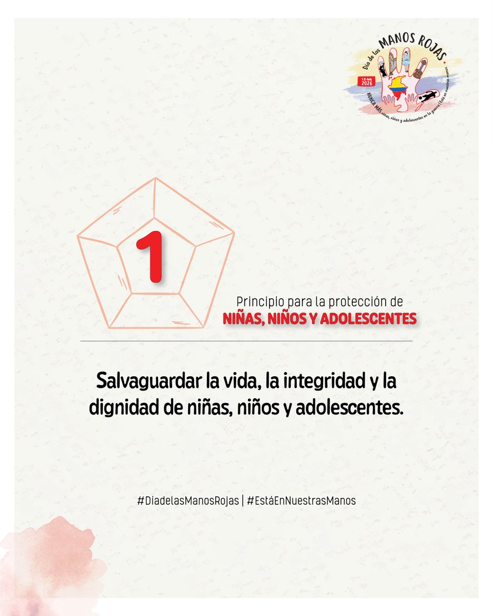 Taller de Vida tweet media