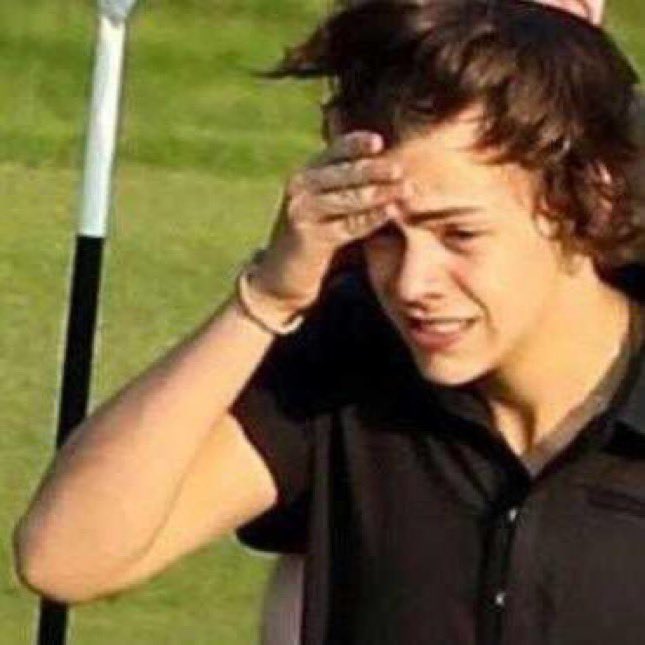 onetreehill's tweet photo. my last chance to secure harry tickets today https://t.co/q9BydJ6oI0