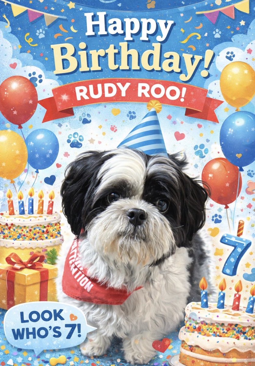 Look who’s 7 today 🐾🎂
Happy Birthday Rudy Roo 🎉Our little &amp; mighty shadow, cuddle buddy on his terms &amp; daily reminder that ❤️ comes with fur and a wiggle tail😍 We ❤️ you more than words, 
Rudy Roo 💕

#RudyRoo #ShihTzu #BirthdayPup  #GoodBoyVibes 🤘